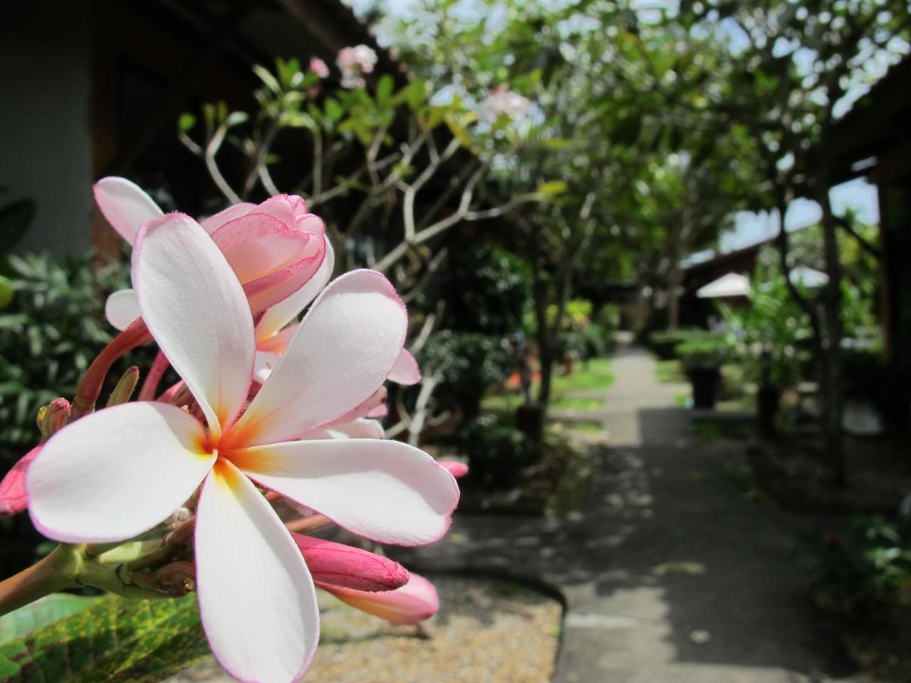 Phuket Siam Villas - Sha Plus Chalong Exterior photo